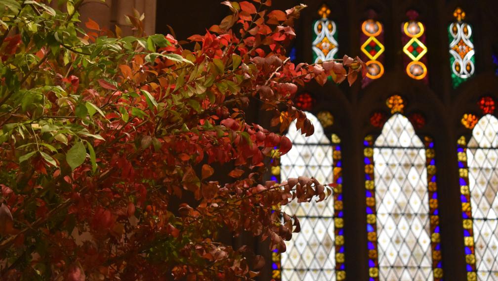 An arrangement of green and red fall leaves over a backdrop of stained glass in Trinity Church