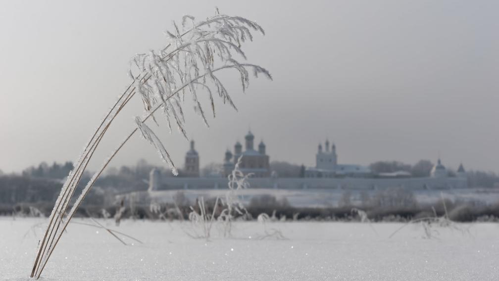 Winter Landscape of Moscow Suburbs