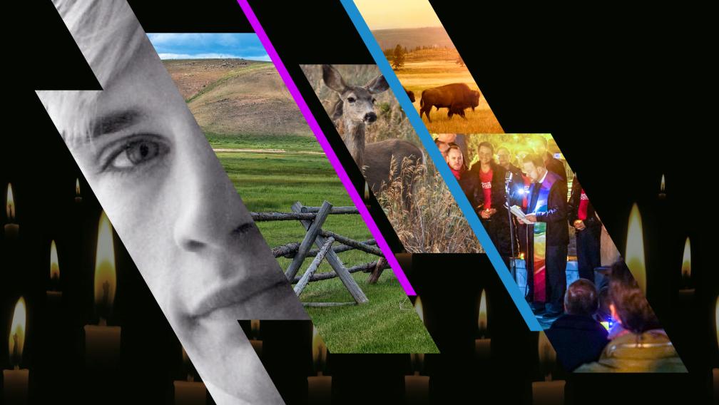 Cuts of images related to Matthew Shepard
