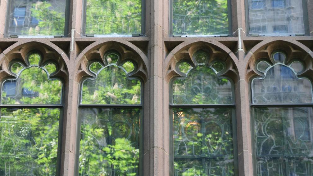 A leafy green tree reflected in the windows of Trinity Church