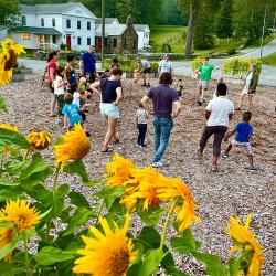 Families playing in a sunflower garden
