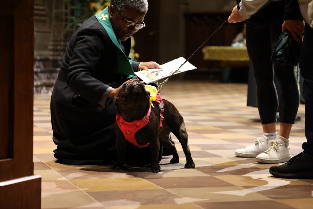 Sister Promise at the Blessing of the Animals, October 2022