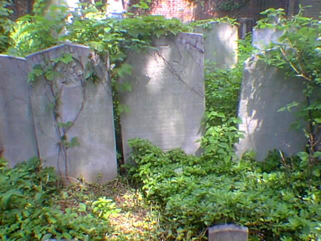 Grave of Dr. William James MacNeven