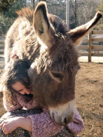 A woman gets a hug from a donkey