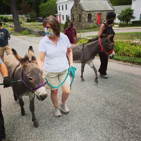 Women guide donkeys down a road
