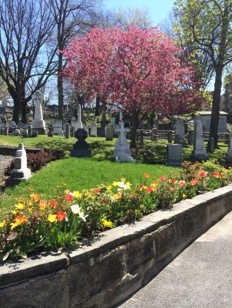 Tombstones and spring flowers.