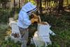 Beekeeping at the Retreat Center