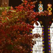 An arrangement of green and red fall leaves over a backdrop of stained glass in Trinity Church