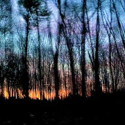 A colorful sunset with pinks, oranges, blues, and violets behind a forest of trees