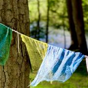 Green, yellow, blue, and white prayer flags float on the breeze against a background of tall trees and warm sunlight