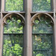 A leafy green tree reflected in the windows of Trinity Church