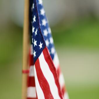 American flag with green background