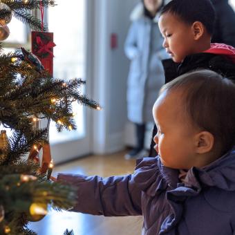 Children look at Christmas tree lights