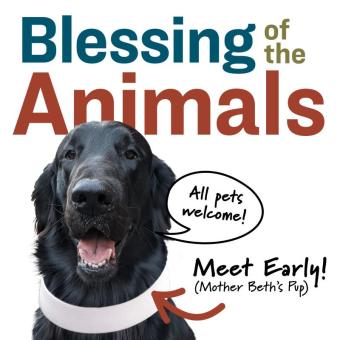 Blessing of the animals