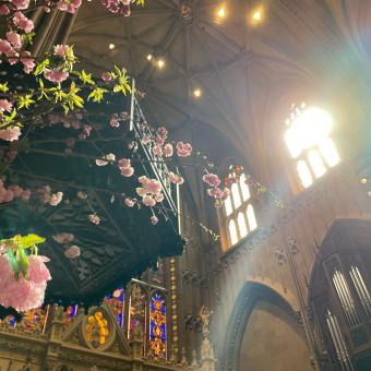 Pink Easter flowers below the pulpit at Trinity Church with sun beaming in from the windows above, creating a faint rainbow.