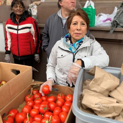 Serving fresh tomatoes at Brown Bag Lunch