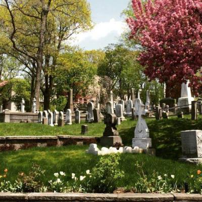 View of headstones and flowering trees