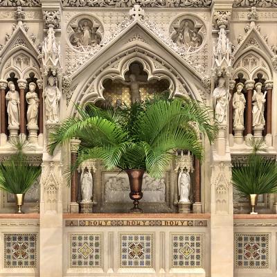 Episcopal Explained: Palm Sunday