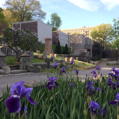 The mausoleum in spring, with purple flowers.