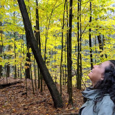 Woman looks up at beautiful yellow and black trees