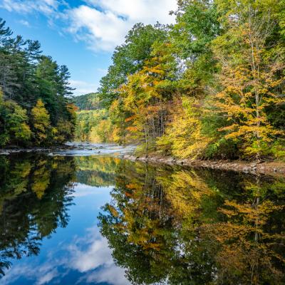 Housatonic river with fall colors