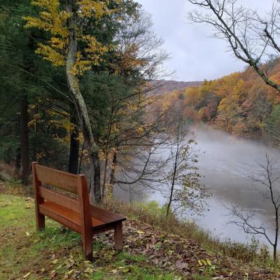 Bench in front of a misty river