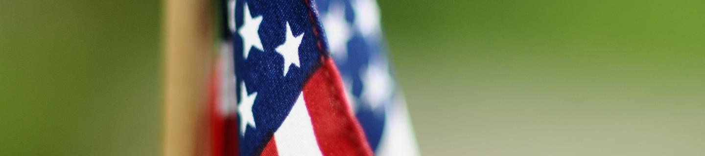 American flag with green background