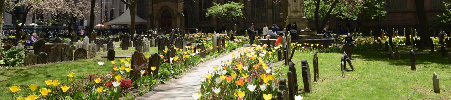 Trinity Churchyard in Spring