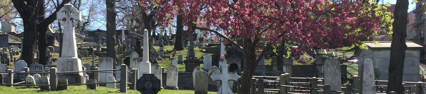 Tombstones in Trinity Cemetery